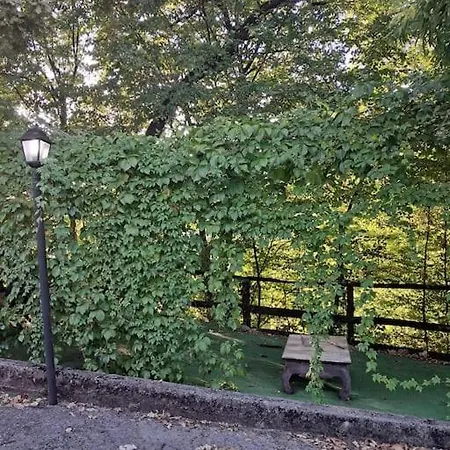 Soggiorna In Un Bosco Urbano! * Frosinone