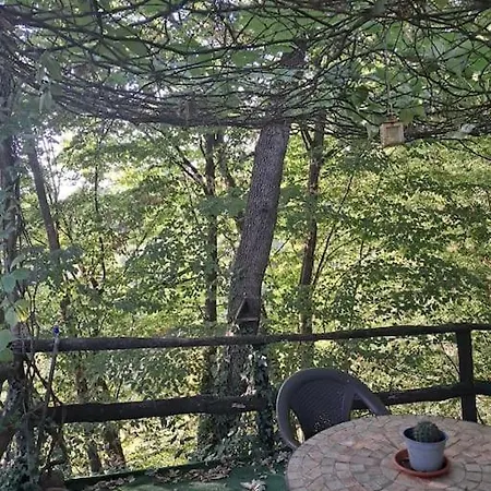 Apartamento Soggiorna In Un Bosco Urbano! *